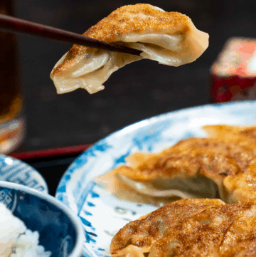 Pork Gyoza