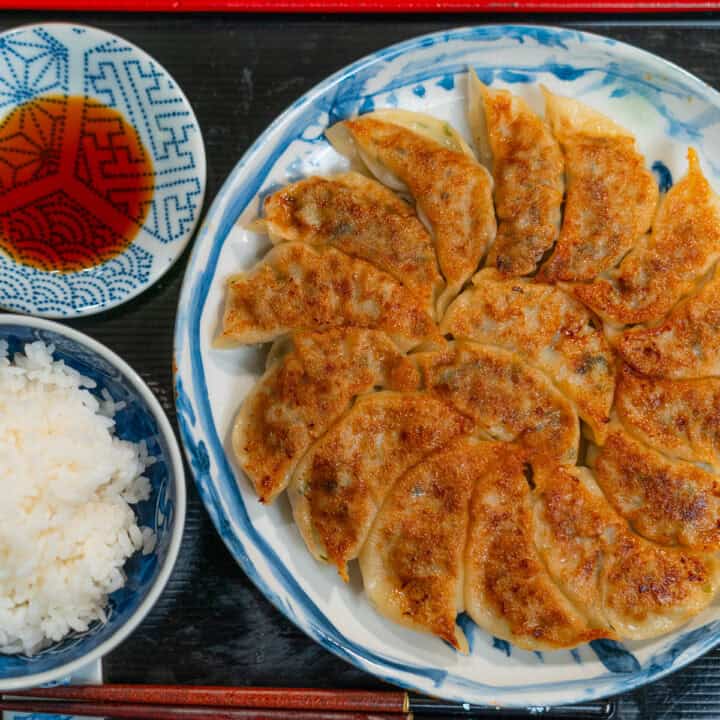 Pork Gyoza