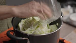 Adding cabbage to a pot