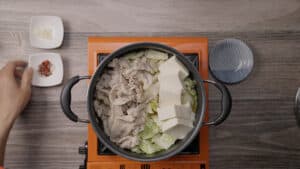 Pot with cabbage, pork, and tofu